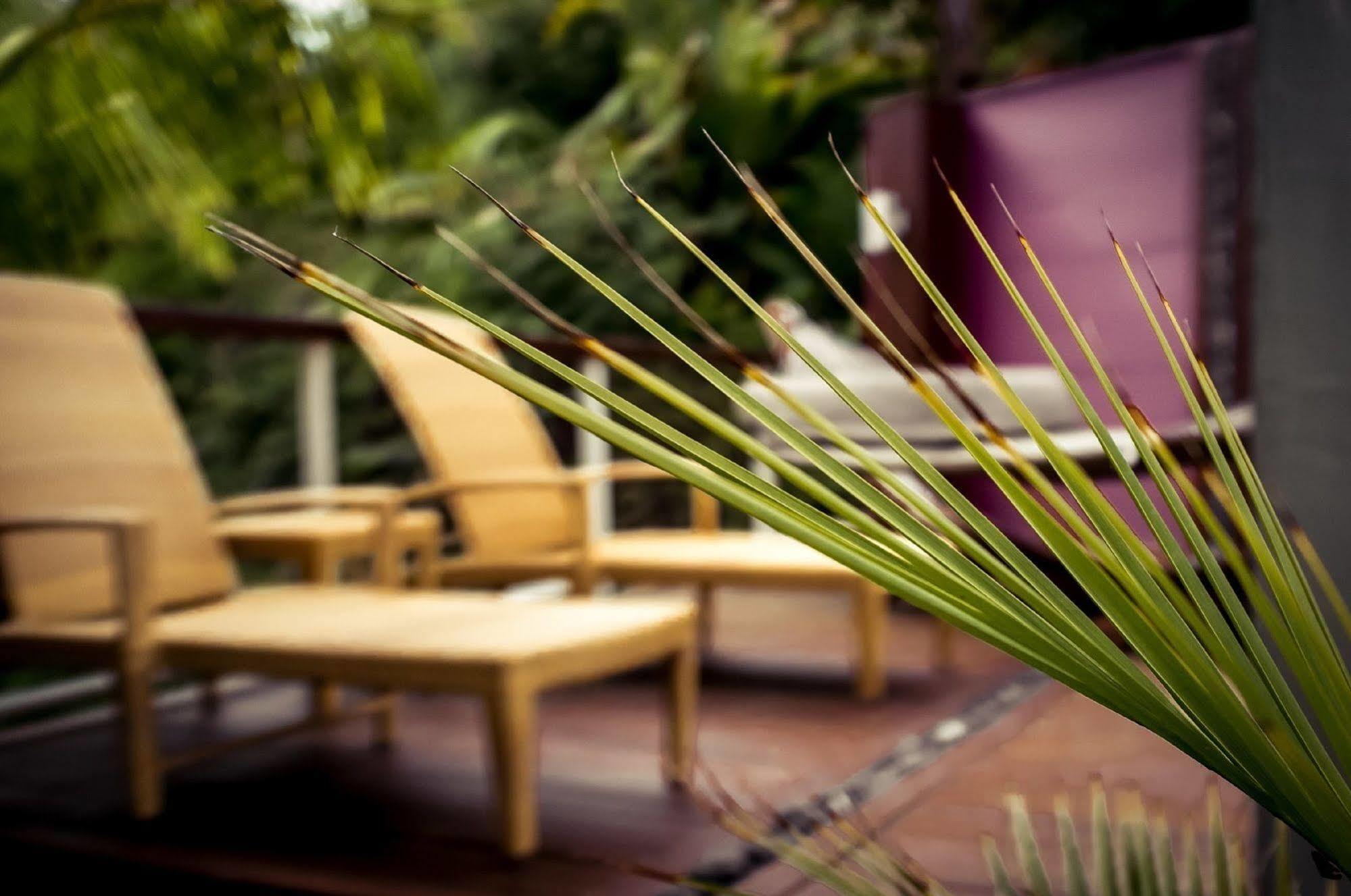 Sanctuary Palms Apartment Paihia Exterior photo